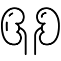 Types