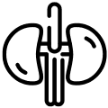 Types
