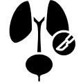 Types