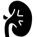 Types