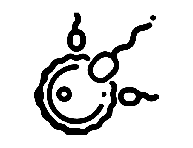 Fertility (IVF) - NU Hospitals