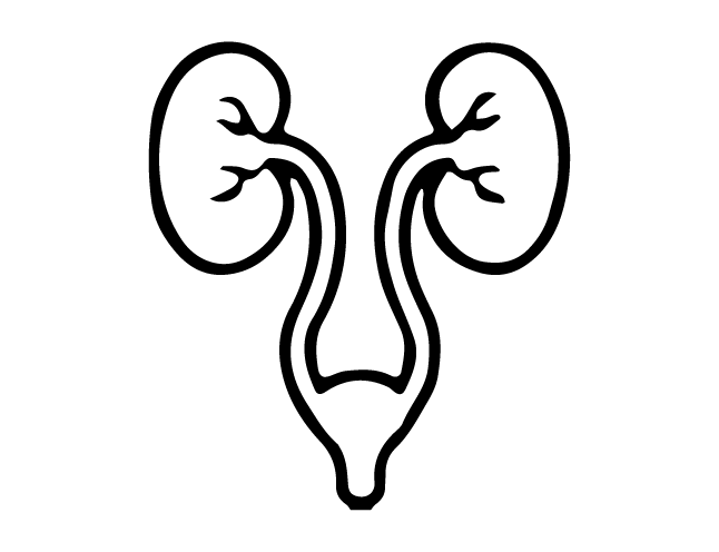 Urology - NU Hospitals