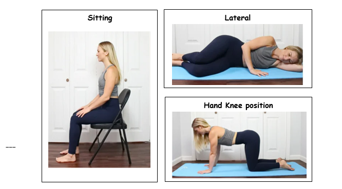 Pelvic Floor Muscle Exercises For Women To Improve Sexual Health
