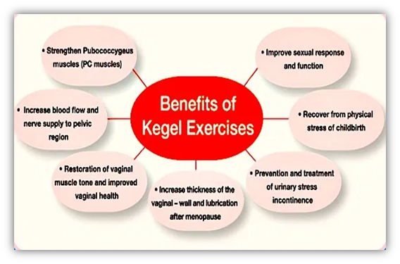 Benefits pc muscle Kegel exercises