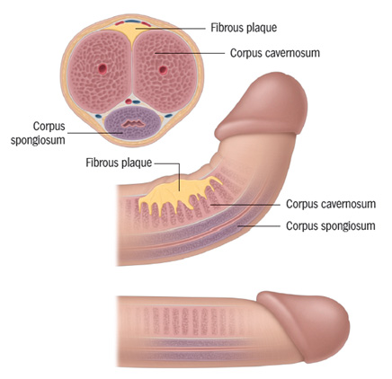 NU Hospitals Doctor Image
